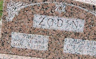Saul Zodin