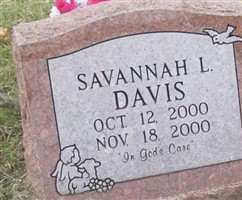 Savannah L. Davis Savannah L. Davis