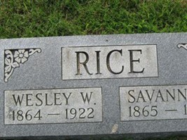 Savannah Rice