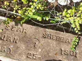 Seab Sheppard Seab Sheppard