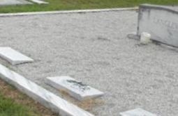 Seaborn Carl Langley, Sr