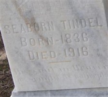 Seaborn Tindel