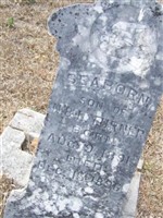 Seaborn Turner