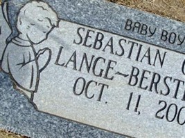 Sebastian Cole Lange-Berstling