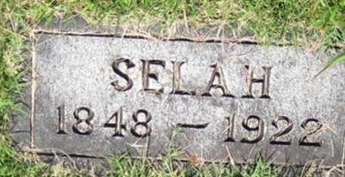 Selah Root Selah Root