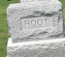 Selah Root Selah Root