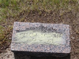 Selena Cohoe Scharff