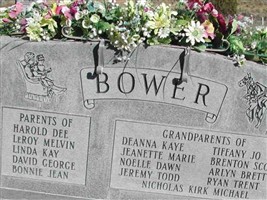 Selena Osguthorpe Bower Selena Osguthorpe Bower