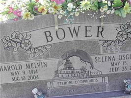 Selena Osguthorpe Bower Selena Osguthorpe Bower