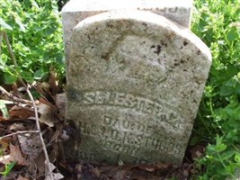 Selester G Stubbs