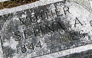 Selina A Thompson Selina A Thompson