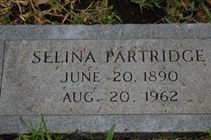 Selina Drake Partridge Selina Drake Partridge