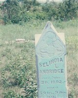 Selindia L. Andridge Selindia L. Andridge