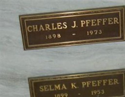 Selma Adeline Kaufman Pfeffer