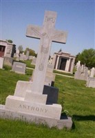 Selma Anthony Selma Anthony