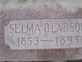 Selma Dorothy Erickson Larson