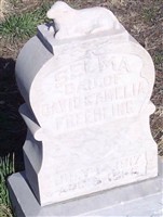 Selma Freehling Selma Freehling