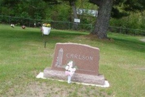 Selma M. Carlson Selma M. Carlson
