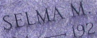 Selma M Irwin Selma M Irwin
