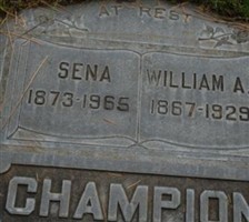 Sena Champion Sena Champion