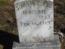 Senia A. Guess Newsome Senia A. Guess Newsome