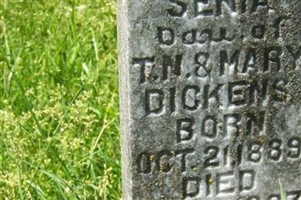 Senia Dickens Senia Dickens