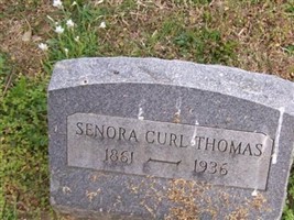 Senora Curl Thomas Senora Curl Thomas