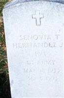 Senovia T. Hernandez, Jr