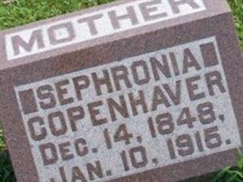 Sephronia Copenhaver Sephronia Copenhaver