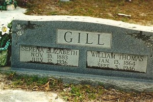Serena Elizabeth Johns Gill