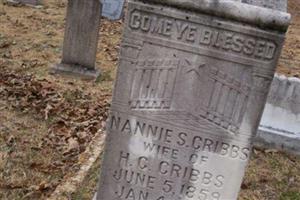 Nancy Serena "Nannie" Holladay Cribbs