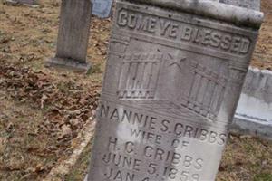 Nancy Serena "Nannie" Holladay Cribbs