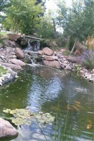 Serenity Gardens