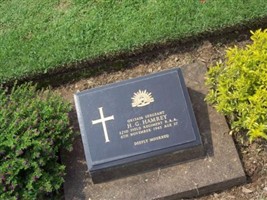 Sergeant Harold George Hamrey Sergeant Harold George Hamrey