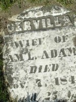 Servilla Adams Servilla Adams