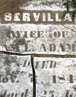 Servilla Adams Servilla Adams