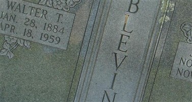 Sessie M Blevins