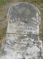 Seth A. Edson