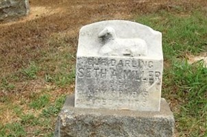 Seth A Miller