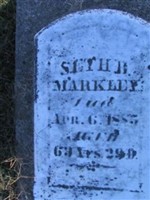 Seth B Markley