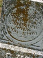 Severin Erhardt Moll Severin Erhardt Moll