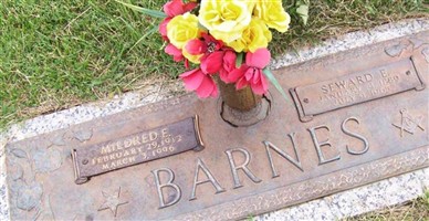 Seward Emerson Barnes