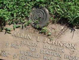 Sgt Albin L Johnson Sgt Albin L Johnson