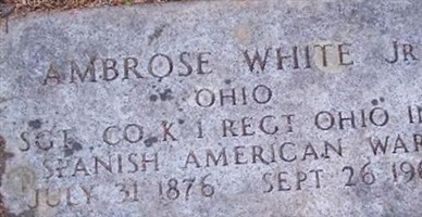 Sgt Ambrose White, Jr Sgt Ambrose White, Jr