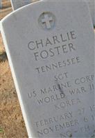 Sgt Charlie Foster