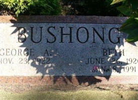 Sgt George Arden Bushong Sgt George Arden Bushong