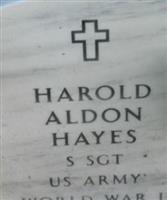 Sgt Harold Aldon Hayes