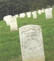 Sgt Henry Morgan