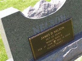 Sgt James Dea Nelson Sgt James Dea Nelson