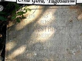 Sgt James I. Mestrovitch